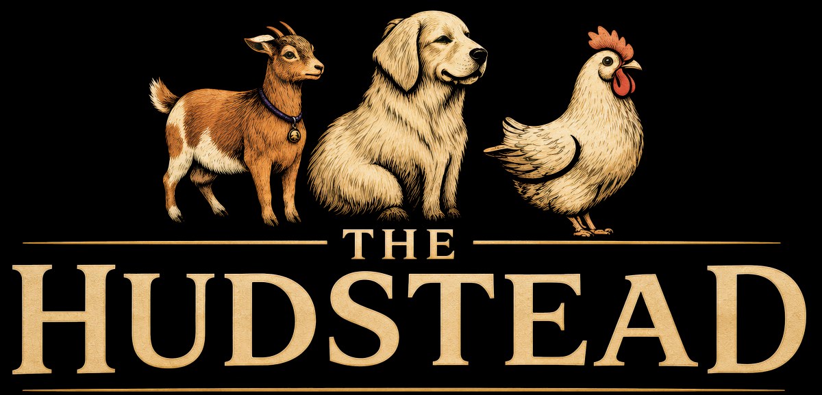 The Hudstead — a Nigerian Dwarf goat, a Great Pyrenees and a hen above the farm wordmark.