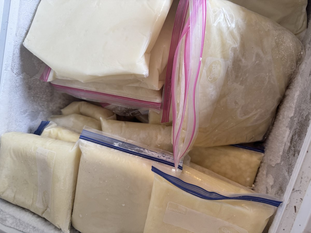 Frozen Raw Goat Milk — Nigerian Dwarf, Half Gallon